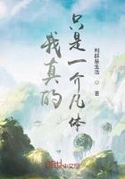 极光之境是什么