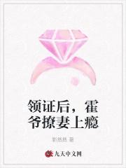 大宋有杨家将飞卢