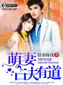 穿越成为女婿系列