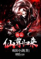 宠物小精灵亡存档超人