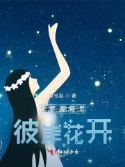 官场密码免费阅读全文